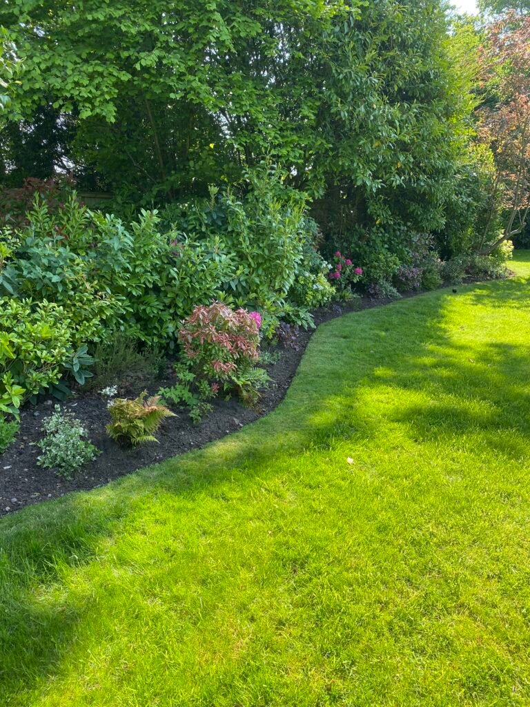 image00035